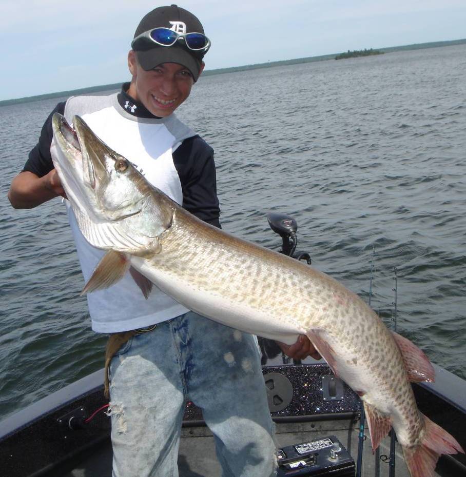 Click to expand / contract the width of this image