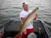 Click to expand / contract the width of this image