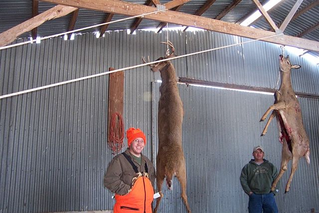 Click to expand / contract the width of this image