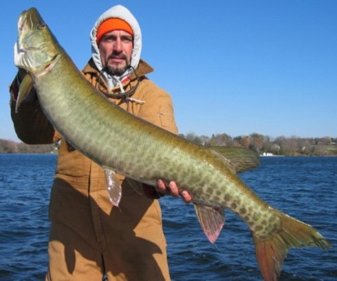 Click to expand / contract the width of this image