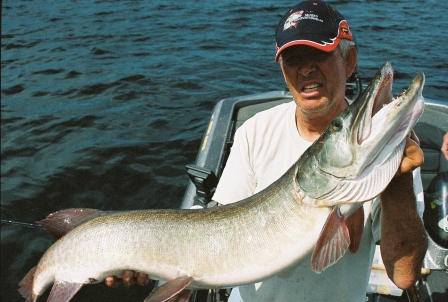 Click to expand / contract the width of this image