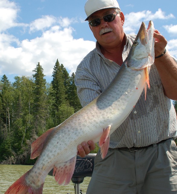 Click to expand / contract the width of this image