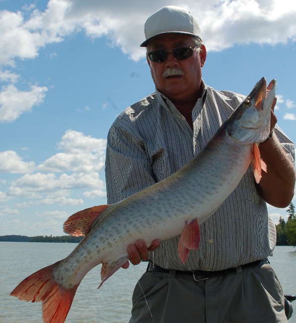 Click to expand / contract the width of this image