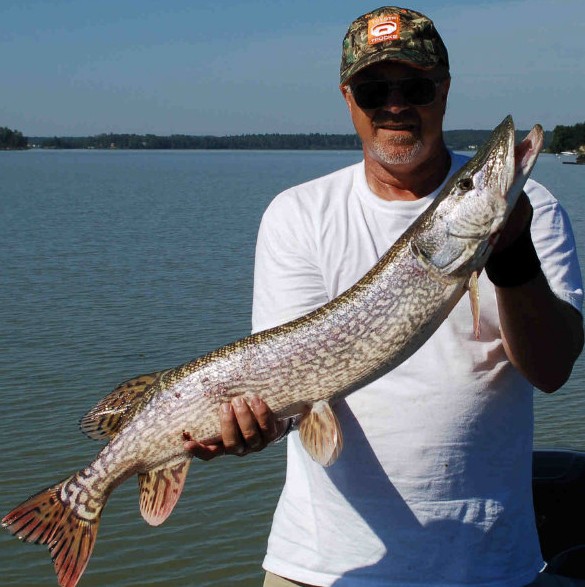 Click to expand / contract the width of this image