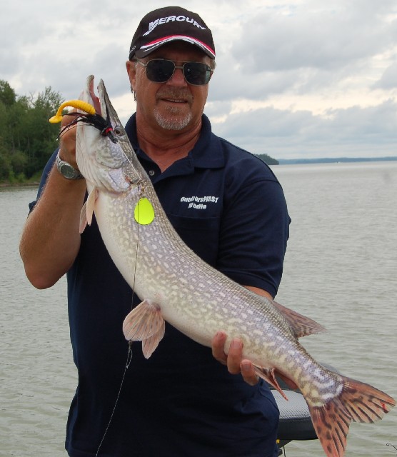 Click to expand / contract the width of this image