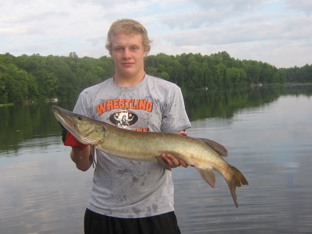 Click to expand / contract the width of this image