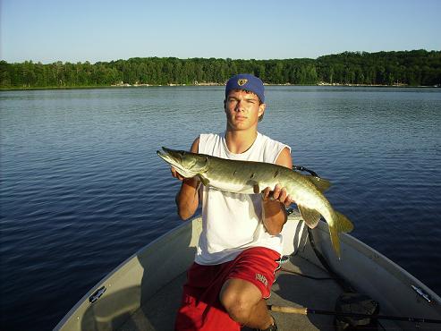 Click to expand / contract the width of this image