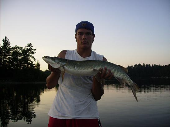 Click to expand / contract the width of this image