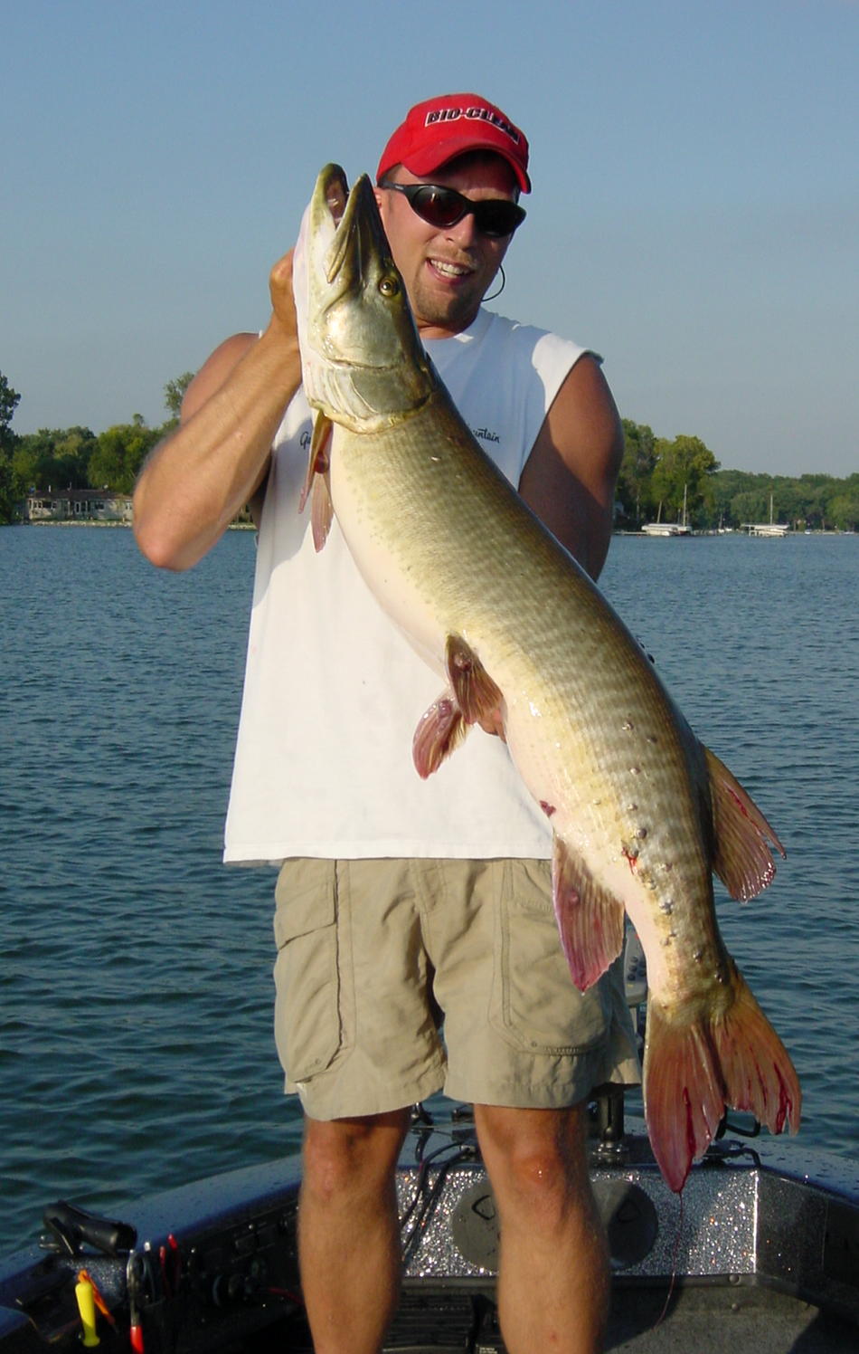 Click to expand / contract the width of this image