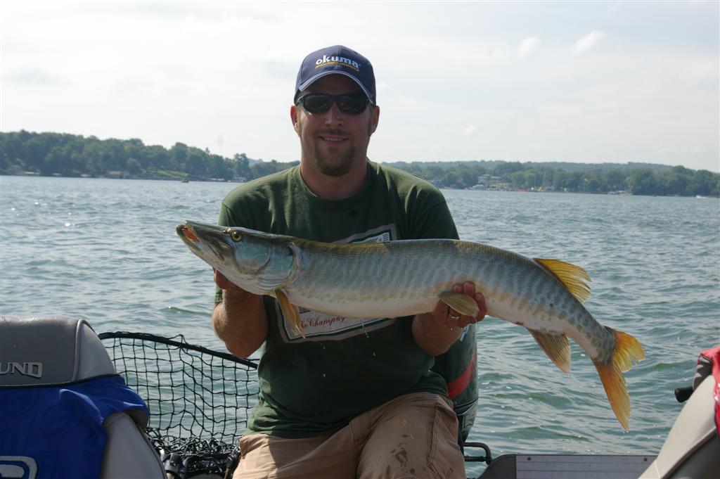 Click to expand / contract the width of this image