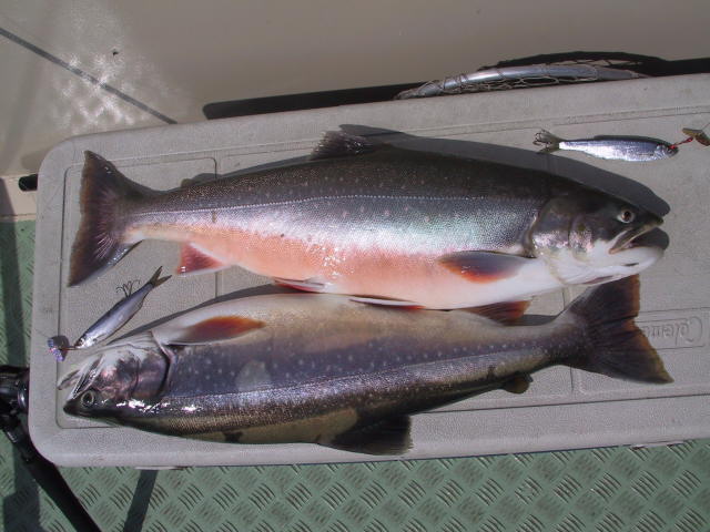 Click to expand / contract the width of this image