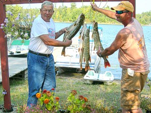 Click to expand / contract the width of this image