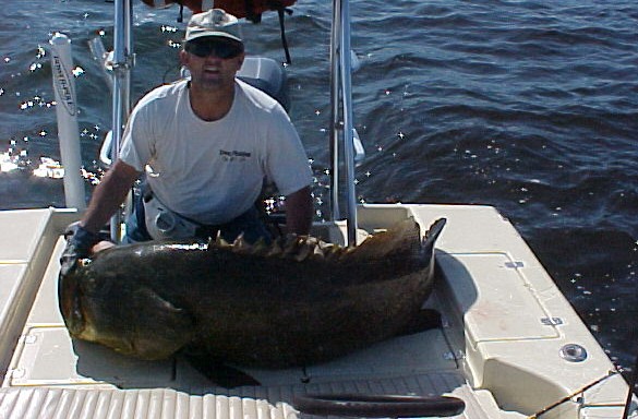 Click to expand / contract the width of this image