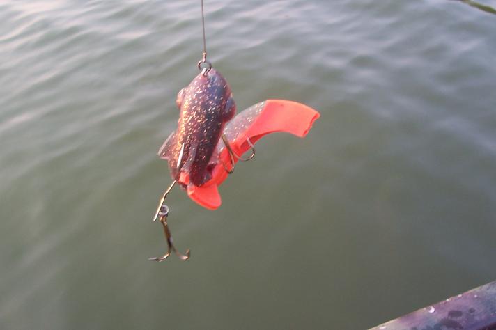 Click to expand / contract the width of this image