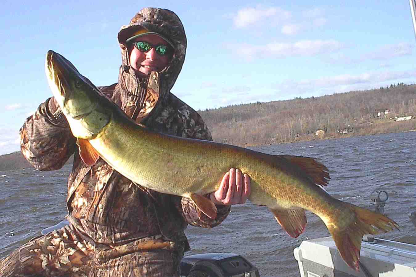 Click to expand / contract the width of this image