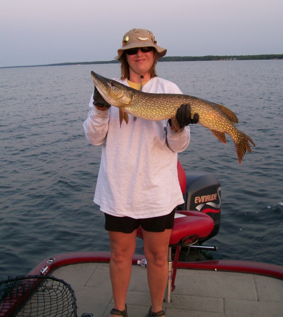 Click to expand / contract the width of this image