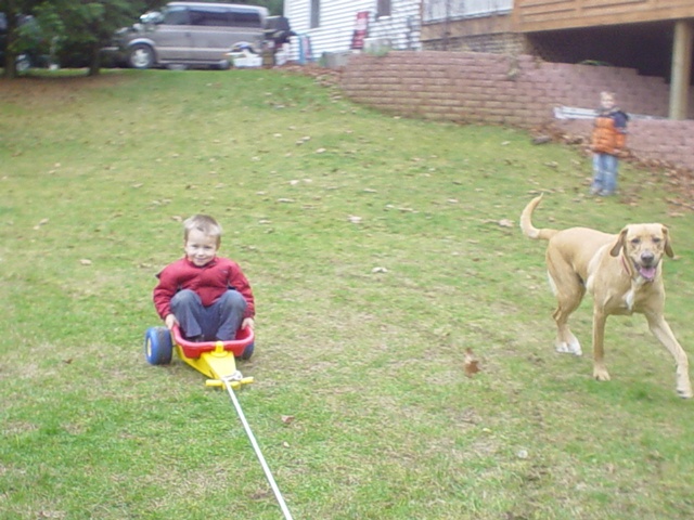 Click to expand / contract the width of this image