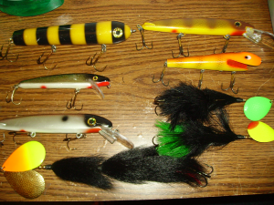 Click to expand / contract the width of this image