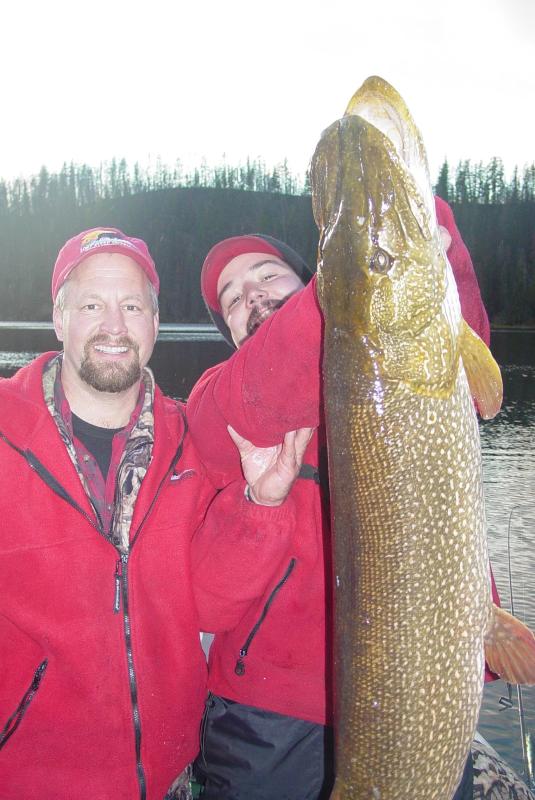 Click to expand / contract the width of this image