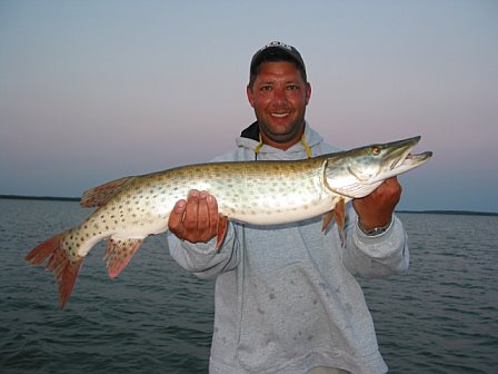 Click to expand / contract the width of this image