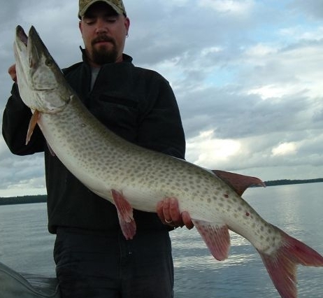 Click to expand / contract the width of this image