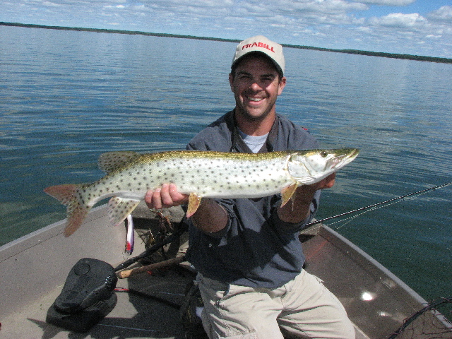 Click to expand / contract the width of this image