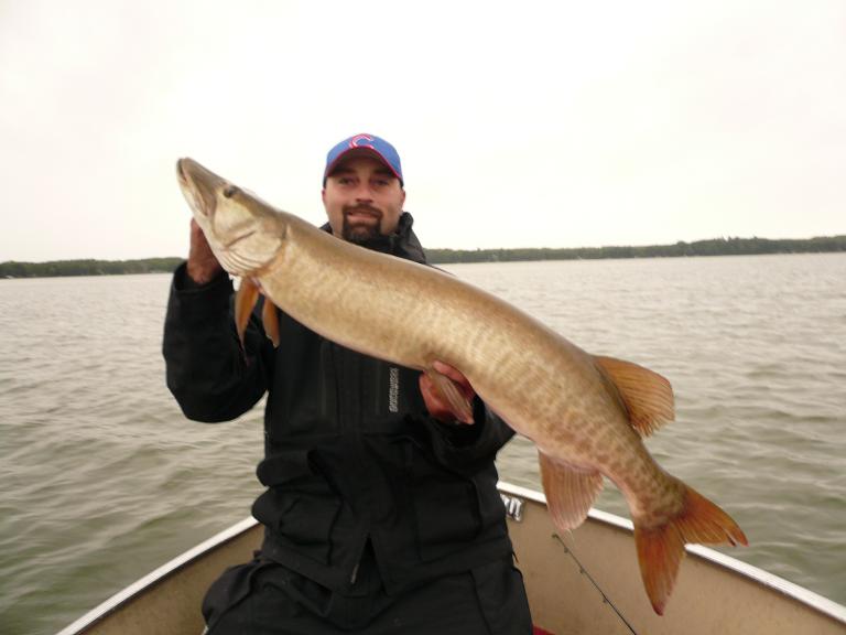 Click to expand / contract the width of this image