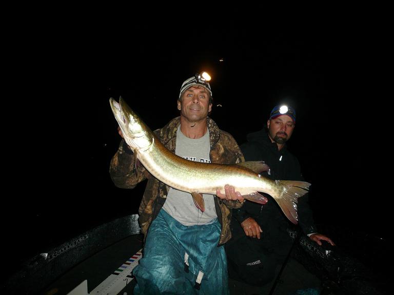 Click to expand / contract the width of this image