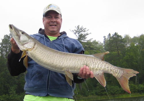 Click to expand / contract the width of this image