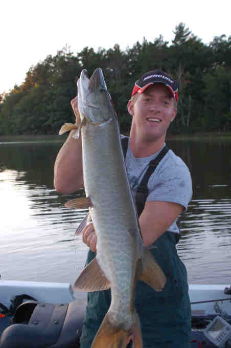 Click to expand / contract the width of this image