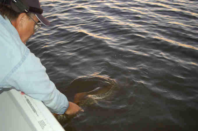 Click to expand / contract the width of this image