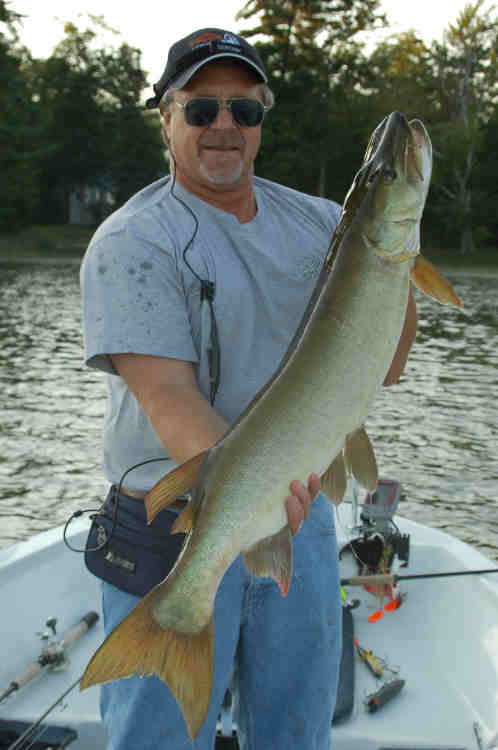 Click to expand / contract the width of this image