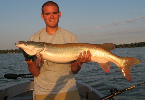 Click to expand / contract the width of this image