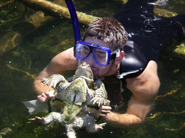 Click to expand / contract the width of this image