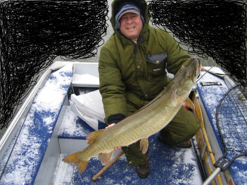 Click to expand / contract the width of this image