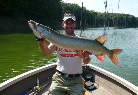 Click to expand / contract the width of this image