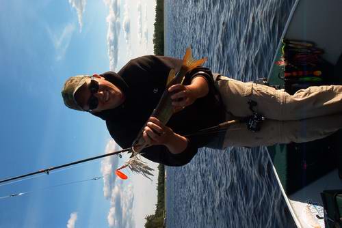 Click to expand / contract the width of this image