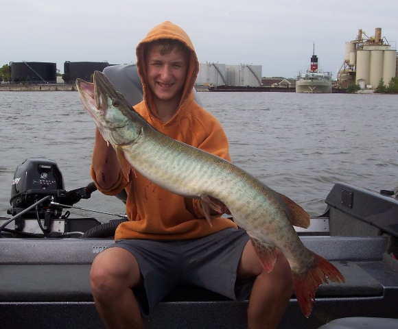 Click to expand / contract the width of this image