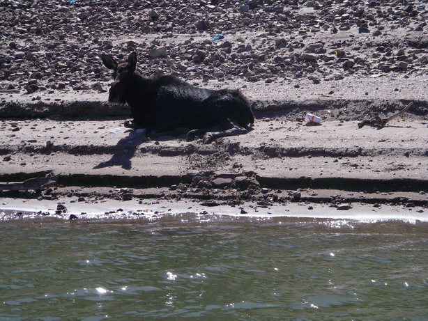 Click to expand / contract the width of this image