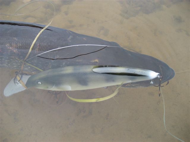 Click to expand / contract the width of this image