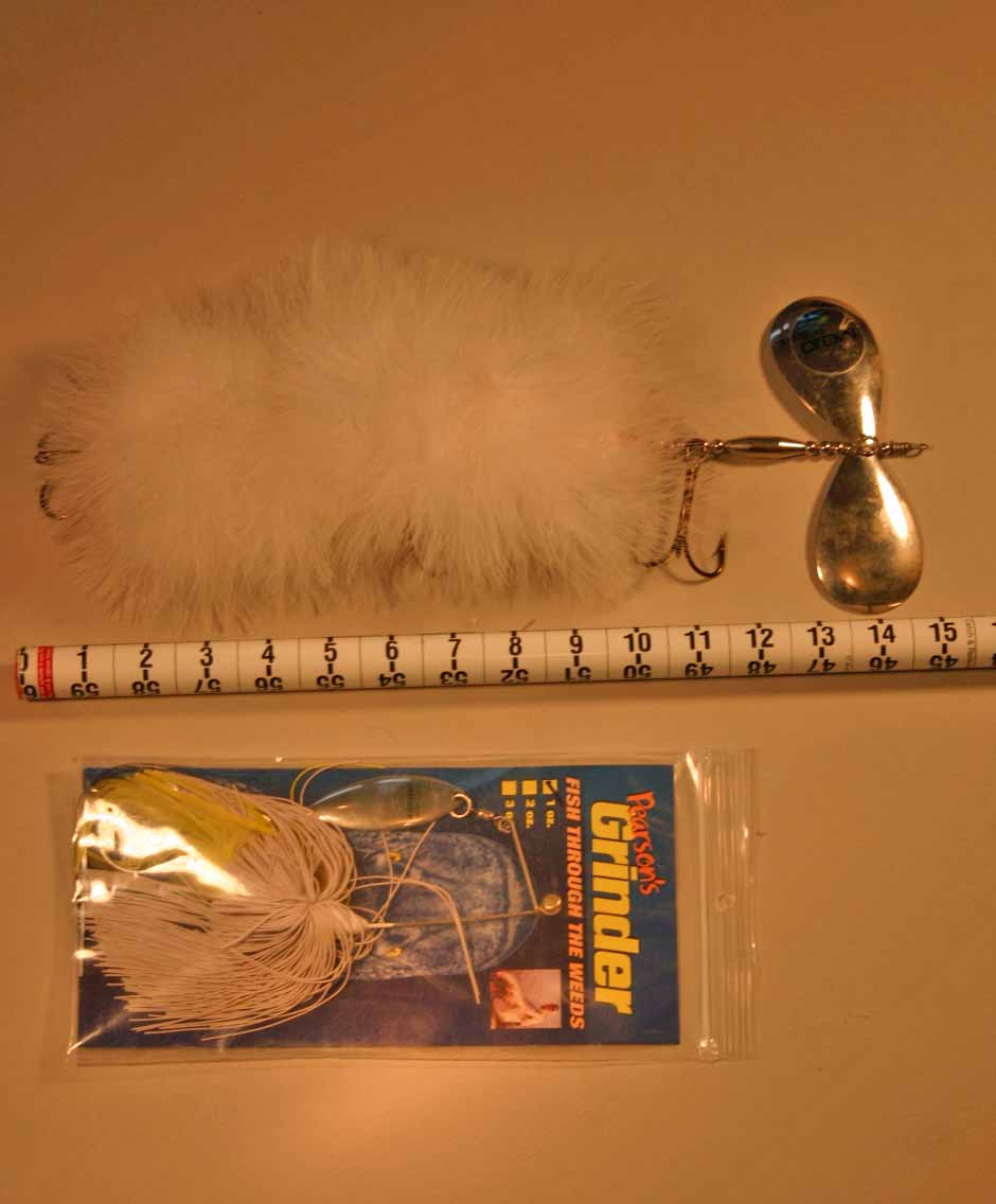 Click to expand / contract the width of this image