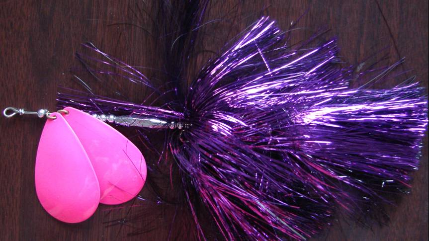 Click to expand / contract the width of this image