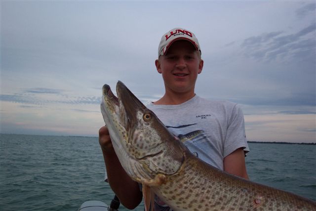 Click to expand / contract the width of this image