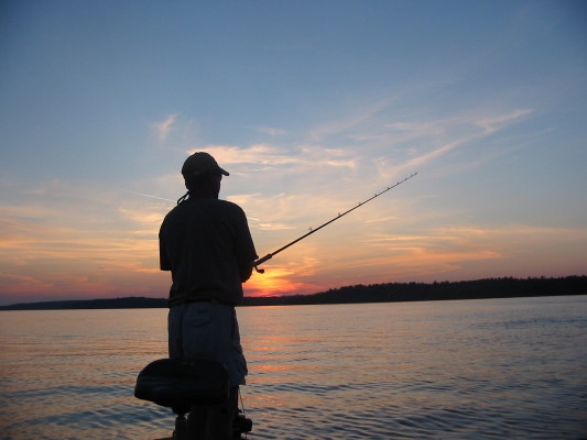 Click to expand / contract the width of this image