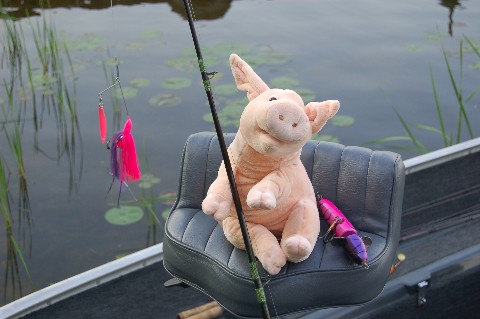 Click to expand / contract the width of this image