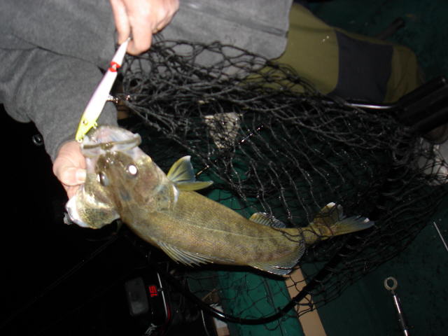 Click to expand / contract the width of this image