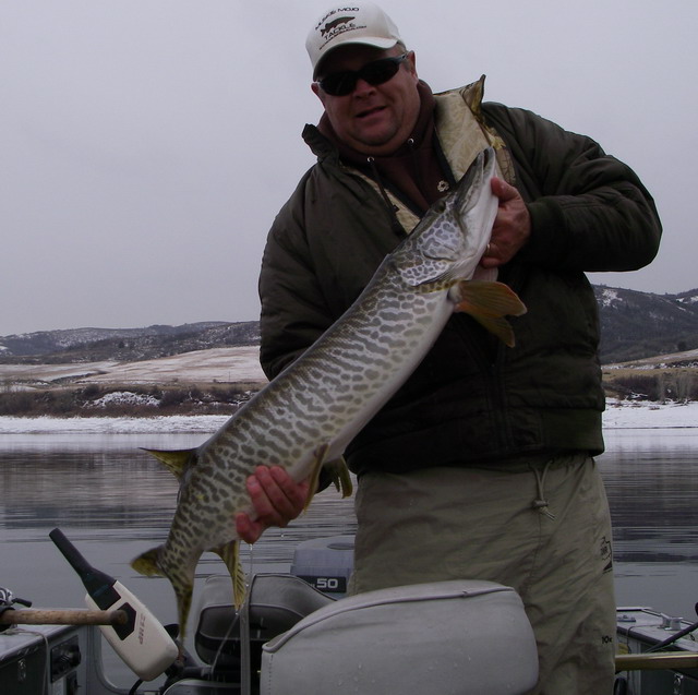 Click to expand / contract the width of this image