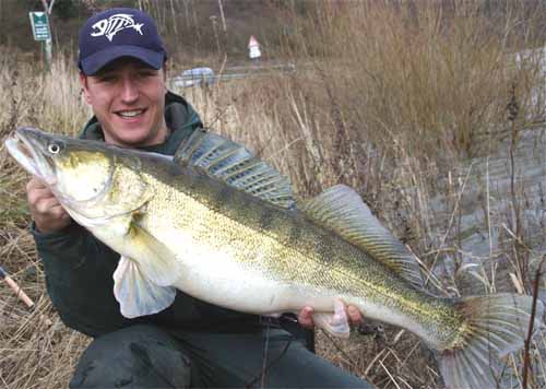 Click to expand / contract the width of this image