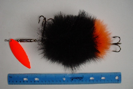 Click to expand / contract the width of this image