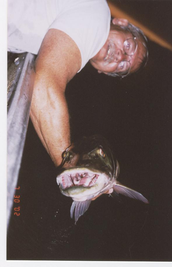 Click to expand / contract the width of this image